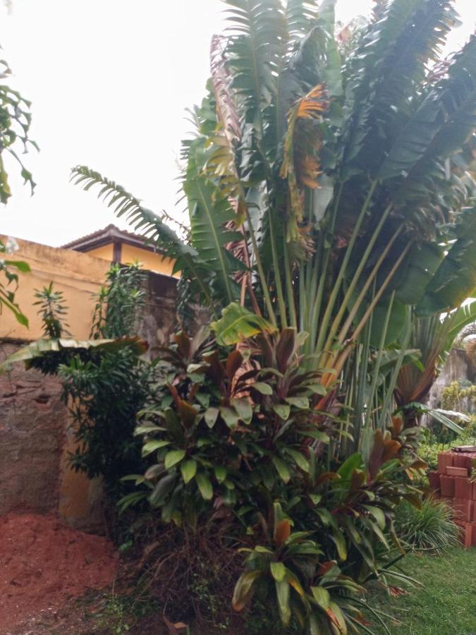 Zen Villas - Chales, Bem-Estar E Conexao Com A Natureza Lauro de Freitas Buitenkant foto