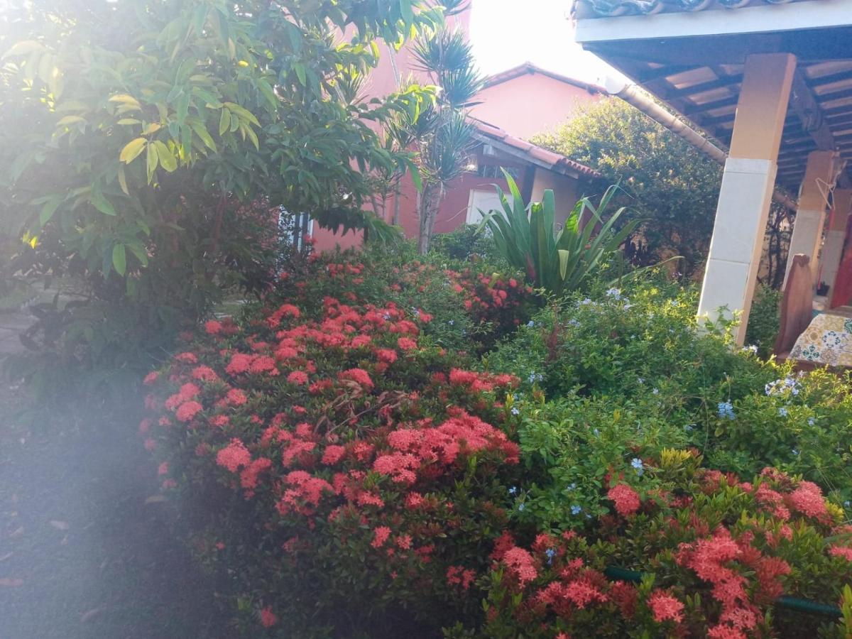 Zen Villas - Chales, Bem-Estar E Conexao Com A Natureza Lauro de Freitas Buitenkant foto