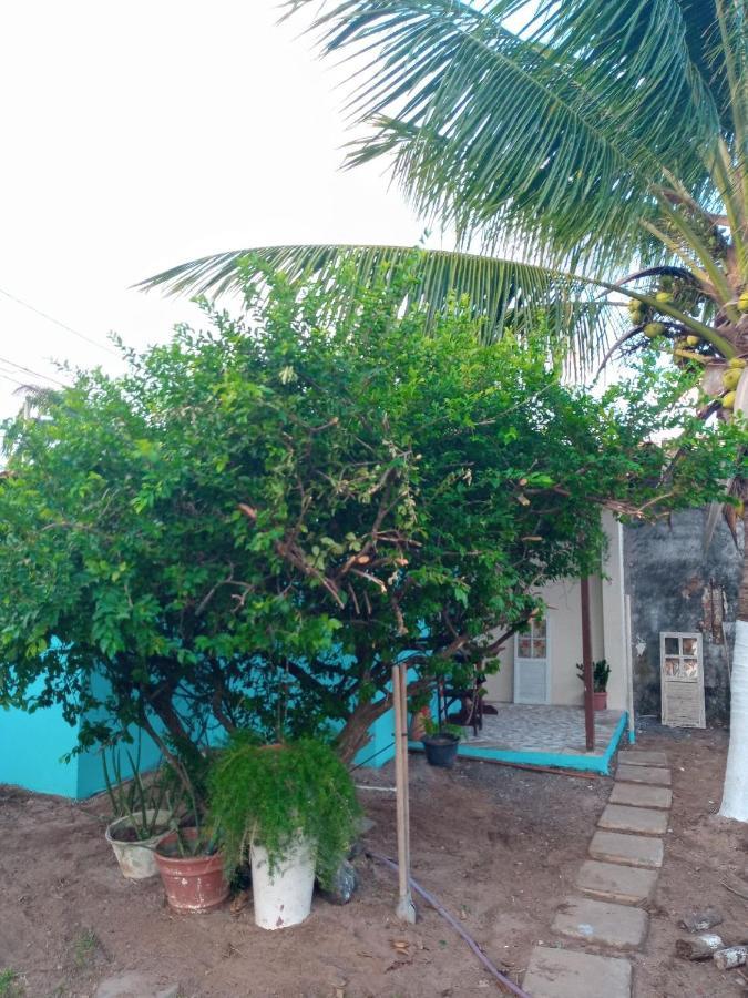 Zen Villas - Chales, Bem-Estar E Conexao Com A Natureza Lauro de Freitas Buitenkant foto