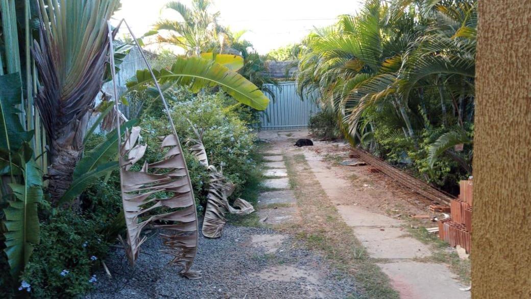 Zen Villas - Chales, Bem-Estar E Conexao Com A Natureza Lauro de Freitas Buitenkant foto