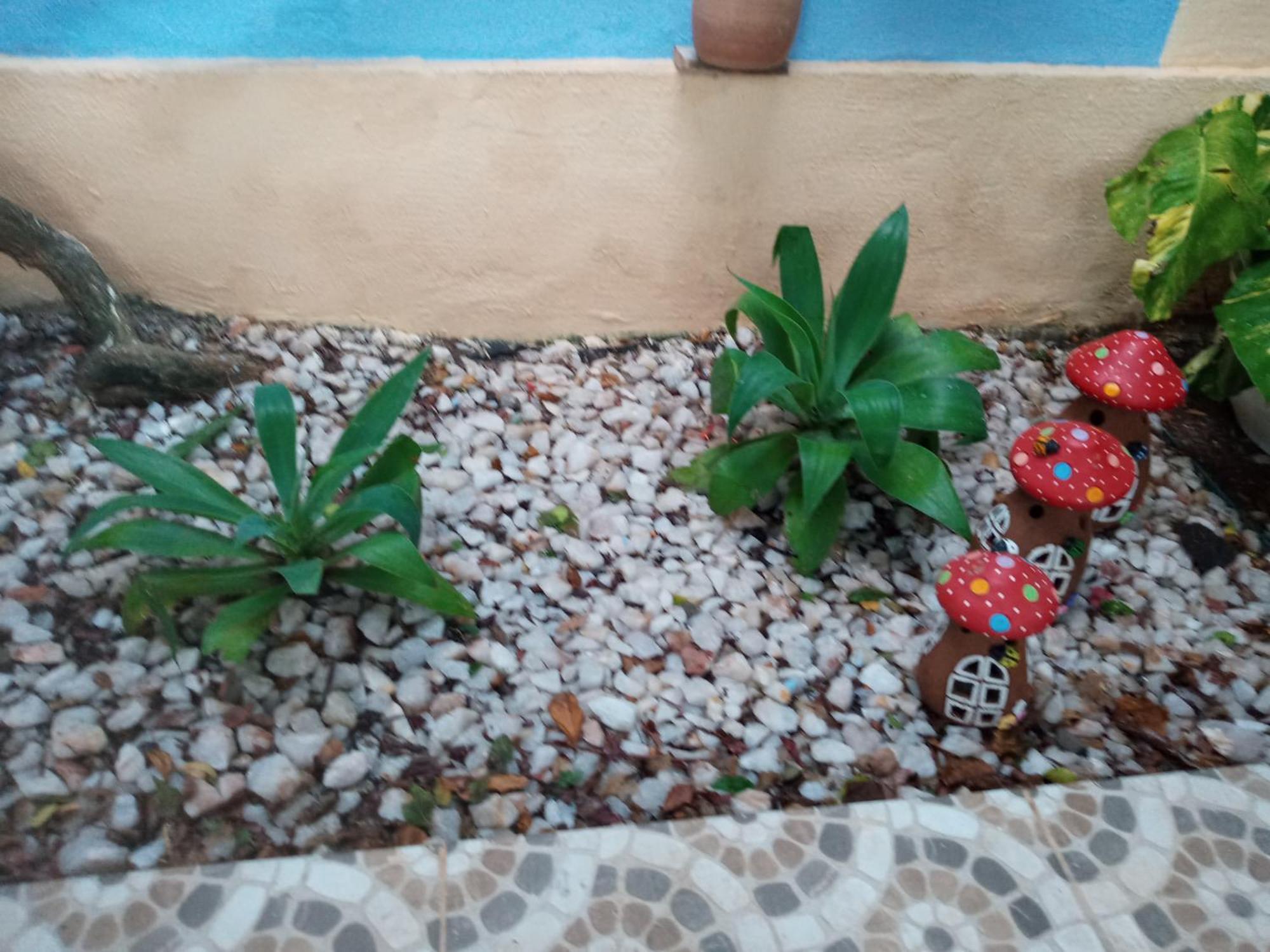 Zen Villas - Chales, Bem-Estar E Conexao Com A Natureza Lauro de Freitas Buitenkant foto
