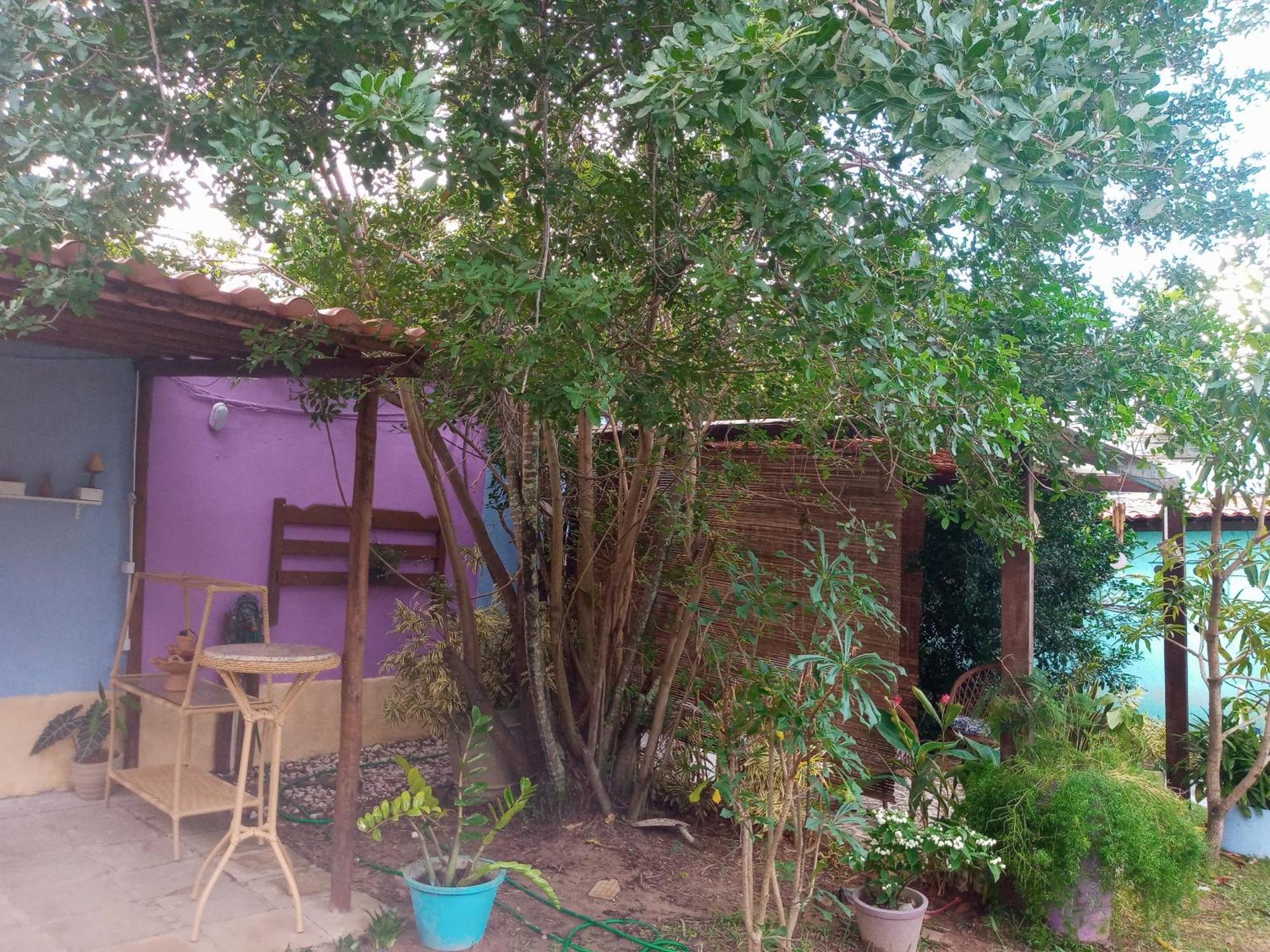 Zen Villas - Chales, Bem-Estar E Conexao Com A Natureza Lauro de Freitas Buitenkant foto