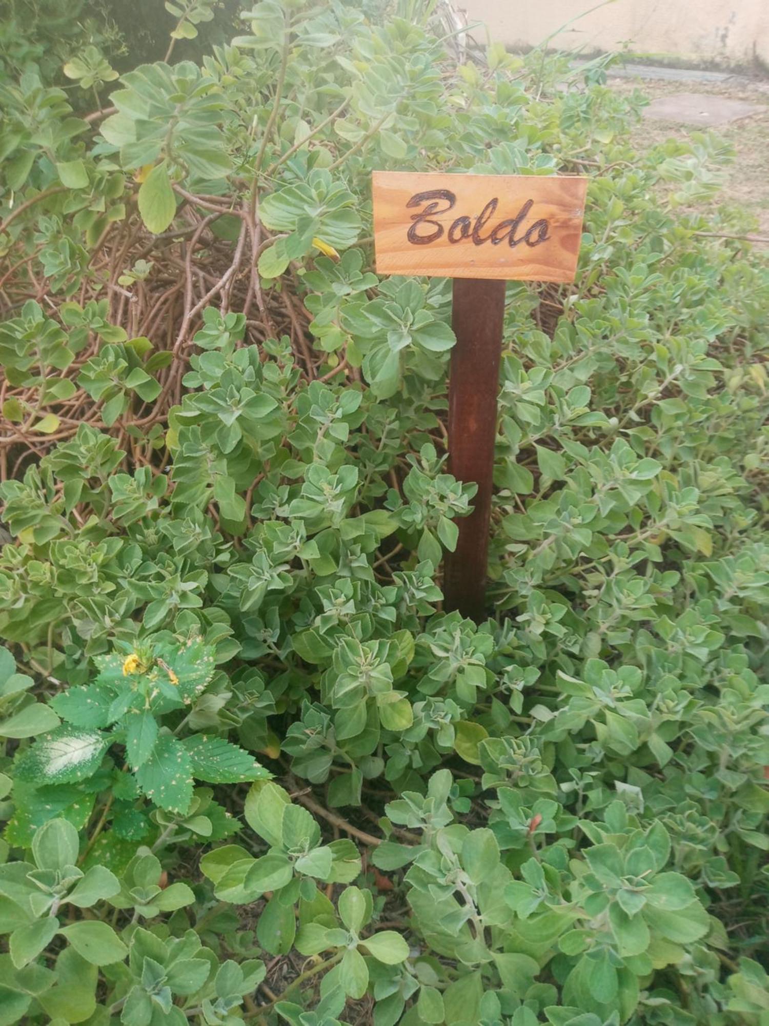 Zen Villas - Chales, Bem-Estar E Conexao Com A Natureza Lauro de Freitas Buitenkant foto