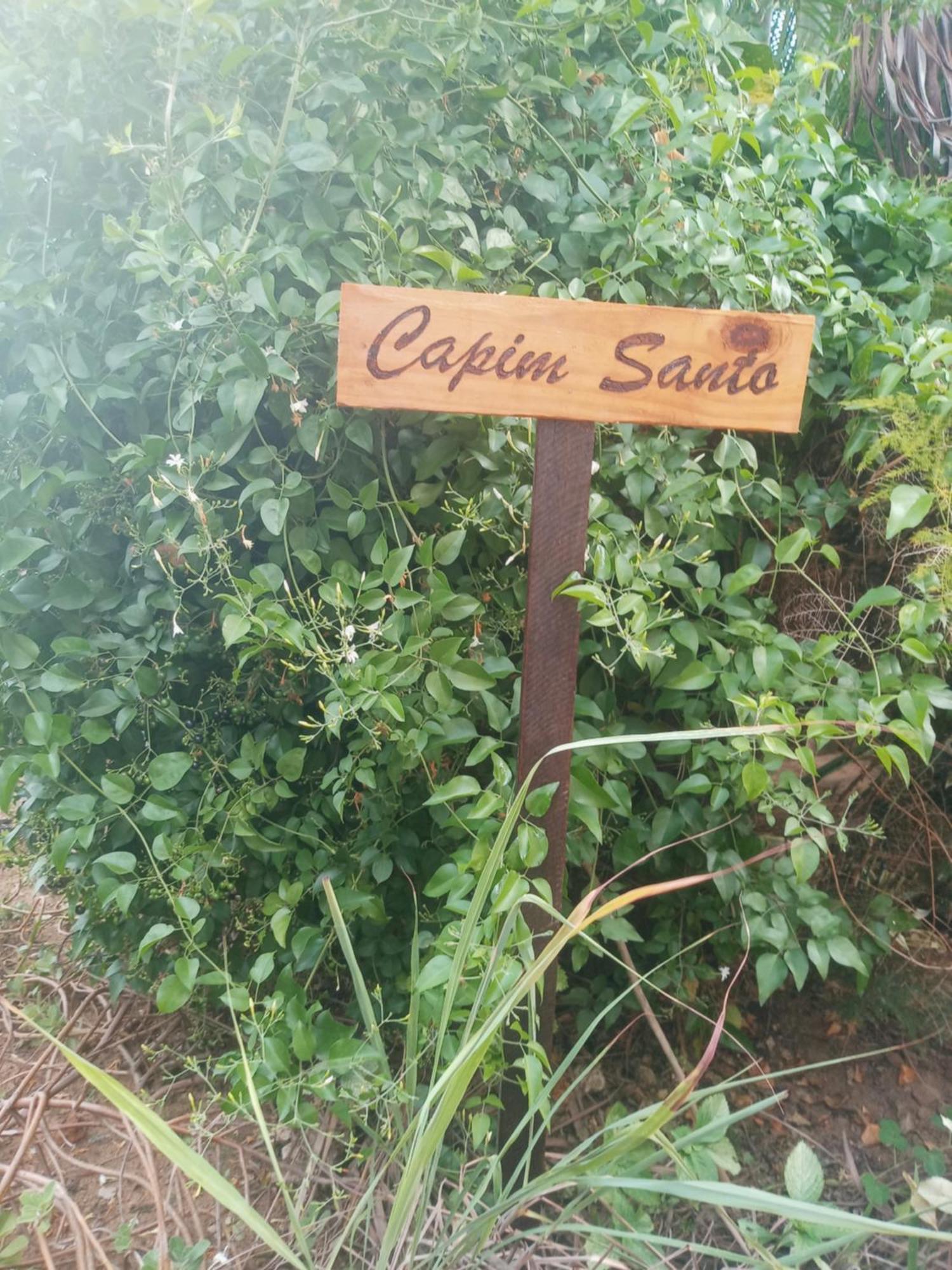 Zen Villas - Chales, Bem-Estar E Conexao Com A Natureza Lauro de Freitas Buitenkant foto